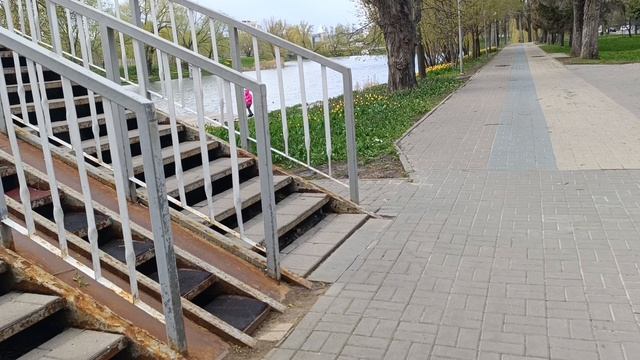 Навстречу с цветочным раем. Начало цветения.28.04.26