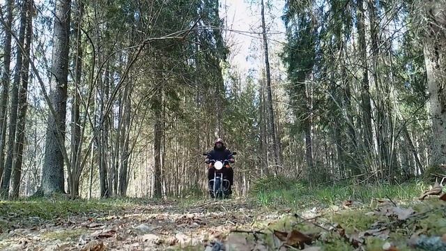 Мотоцикл в лесу - это кайф 👍😃