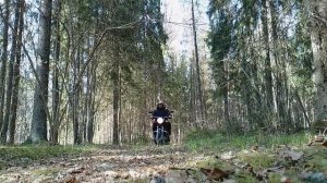 Мотоцикл в лесу - это кайф 👍😃