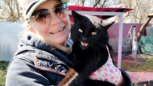 Погода внесла свои коррективы, пилим дерево, копаем огород.