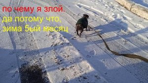 14.04.07.30.По чему я злой.