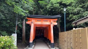 Япония. Киото летом, 4-дневный маршрут