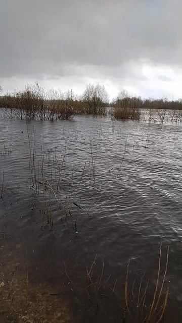 Хмуро на р.Ока.