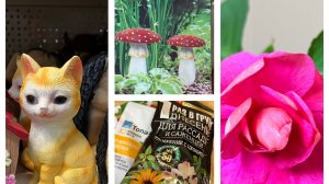 Воскресный день! Подарки от зрительницы! Распаковка покупок!