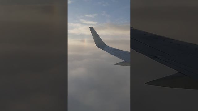 командировка в Москву