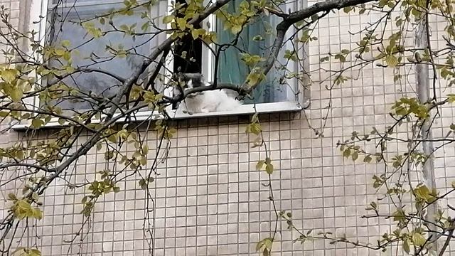 Лучше магазин Пятерочка, чем магазин Магнит