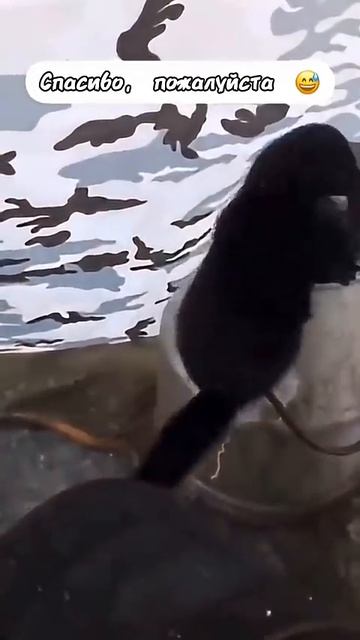 Случай на рыбалке 😂