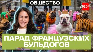 В Москве прошел парад французских бульдогов. Мохаммад