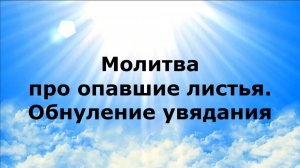 МОЛИТВА ПРО ОПАВШИЕ ЛИСТЬЯ. ОБНУЛЕНИЕ УВЯДАНИЯ #наянабелосвет