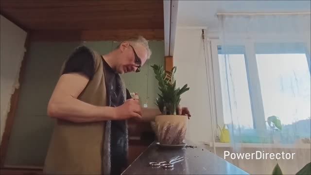 Занимаемся пересадкой цветов🌸Перестановка в спальне