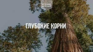 ГЛУБОКИЕ КОРНИ  | АУДИО |	17	  мая 2026