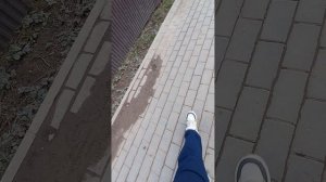 инфа о канале