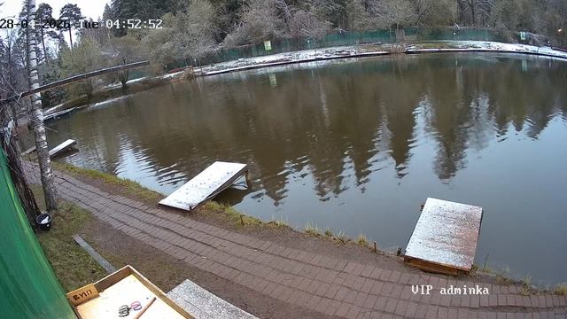 Голицыно Fish 28 апреля смотреть онлайн