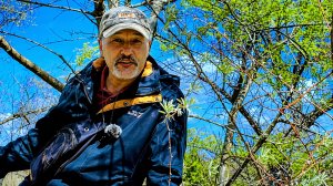 Я снял это в Анапе: лошади, парк, история отшельника и Canon 50mm f/1.8