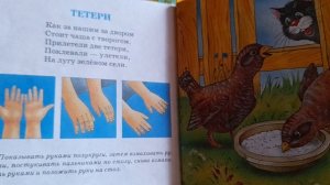 Логопедическая гимнастика. «Игры с пальчиками» Аудиокнига Читает: Алетина Наталья Александровна