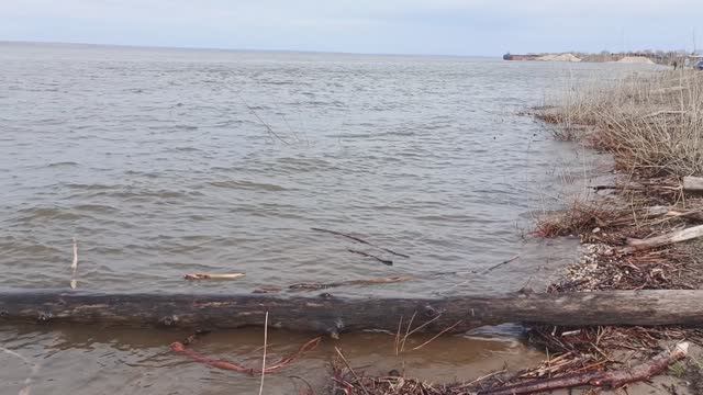 Неласковая Волга