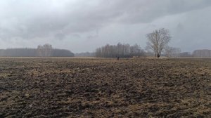 Коп во время дождя