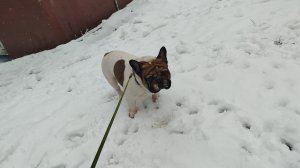 Как правильно вести взаимную работу на Рутубе. О важности обратной связи для взаимщиков