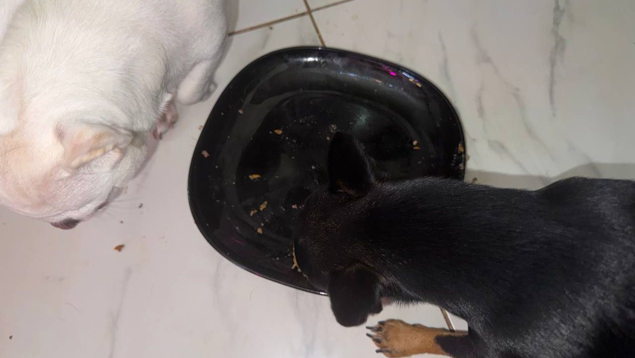 Сегодня малыши очень порадовали своим аппетитом.