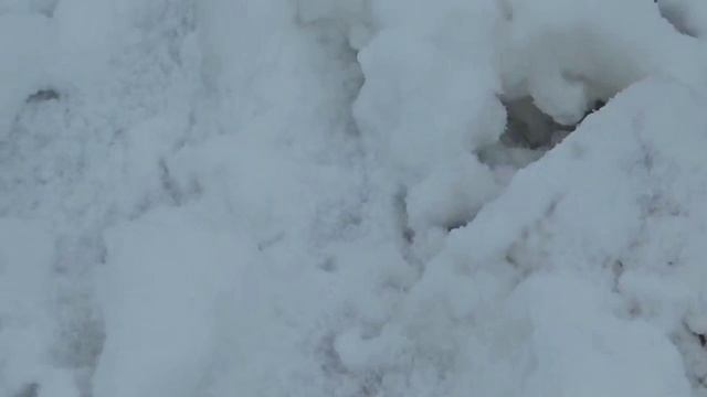 У погоды несварение желудка