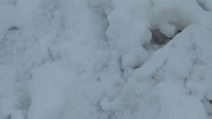 У погоды несварение желудка