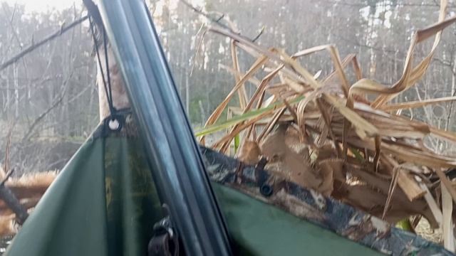 🦆 закрылся по селезню, который удрал. в первом комменте опишу.ПРОДОЛЖЕНИЕ