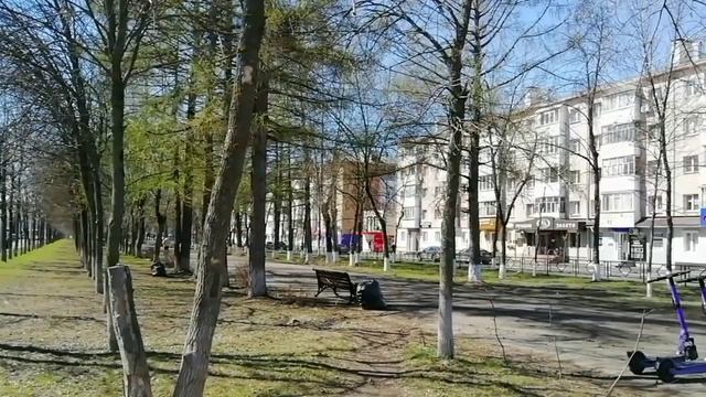 Здесь деревья рвутся в зелень