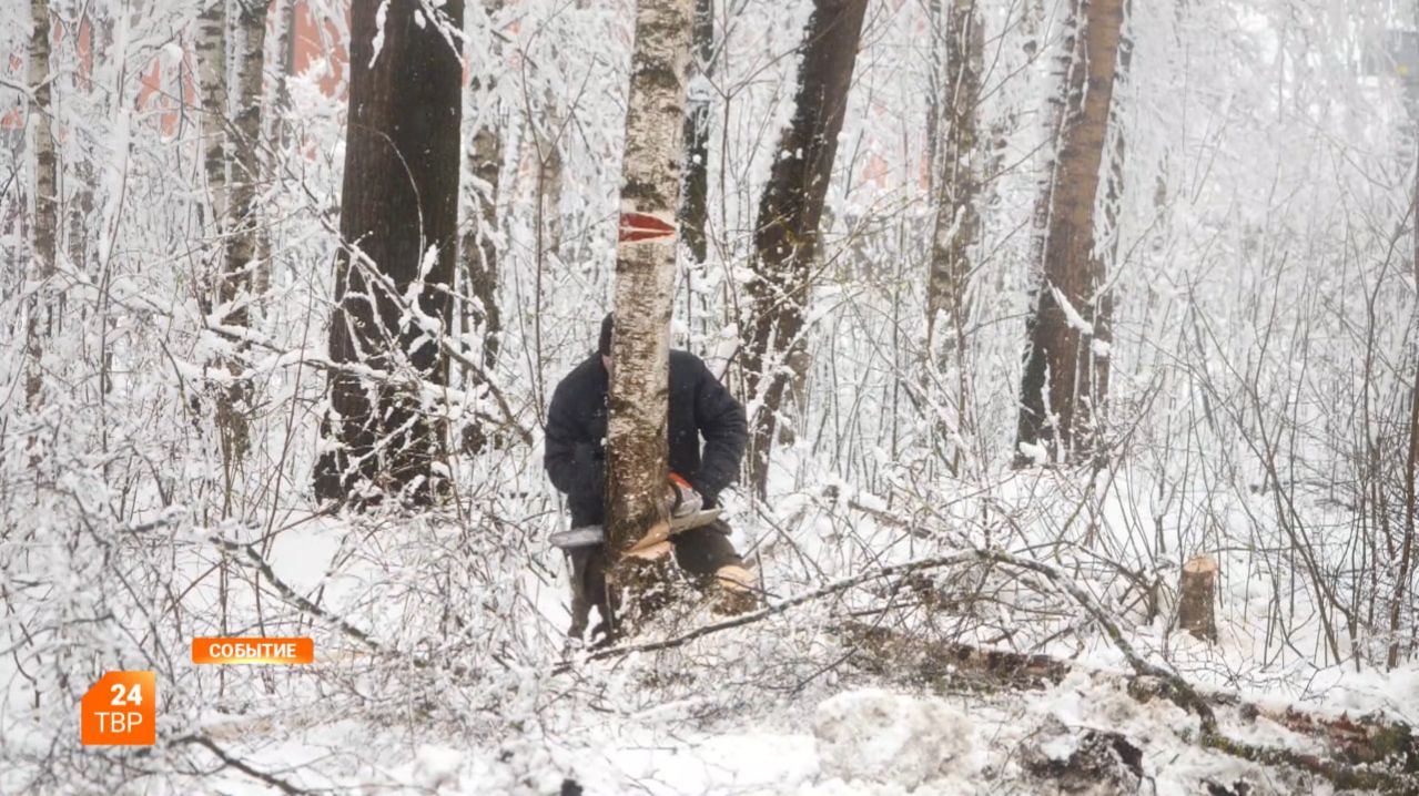 В Хотькове борются с последствиями непогоды
