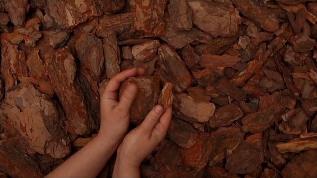 Кора сосновая крупная (5-10 см), 60л.