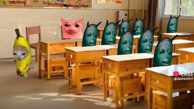 смешное видео с котятами из лайка 🫐