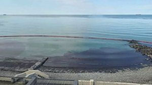 На побережье Краснодарский край начали находить мёртвых дельфинов

Очевидцы сообщают, что случаи фик