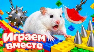 ХОМЯК ВЫБИРАЕТСЯ ИЗ СЕКРЕТНОЙ ХОМЯЧЕЙ ТЮРЬМЫ часть 5 ! Помогаем выбраться из лабиринта !