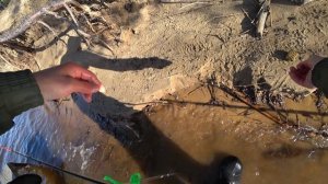 БЕШЕНЫЙ КЛЕВ НА ФИДЕР! ОТКРЫТИЕ СЕЗОНА 2026 УДАЛОСЬ. РЫБАЛКА НА ВОЛГЕ.