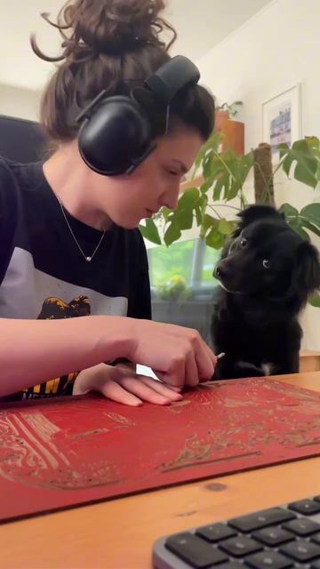 Забавная собака - заходи в вк --﹥ https://vk.com/peshkom_postoyu_smile_vk