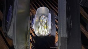 Рыбалка на спиннинг на Черном море