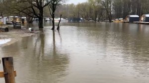 Приняли 500 кг карпа Для зарыбления в Основную зону