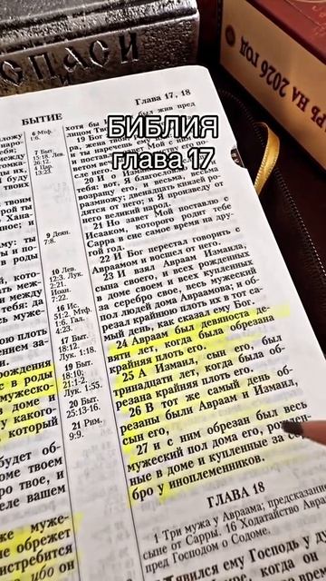 Каждый день возносим молитвы 🙏