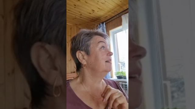 Делаем курятник скоро купим курочек 28 апреля 2026 год