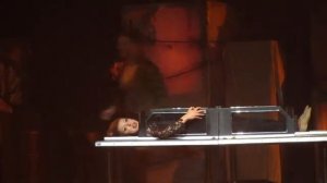 RockLusions Sawed in Half Trick Six Flags Great America 6-13-18