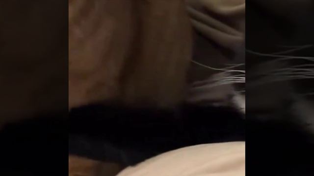 Быстрее кушай, а его держу!