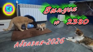#Абхазия2026🌴 28.04.26г.🔥 Выпуск № 2380❗вчера +20°🌡ночью +8°🌡море +13,2°🐬