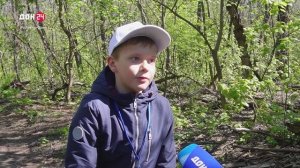 Чистые игры