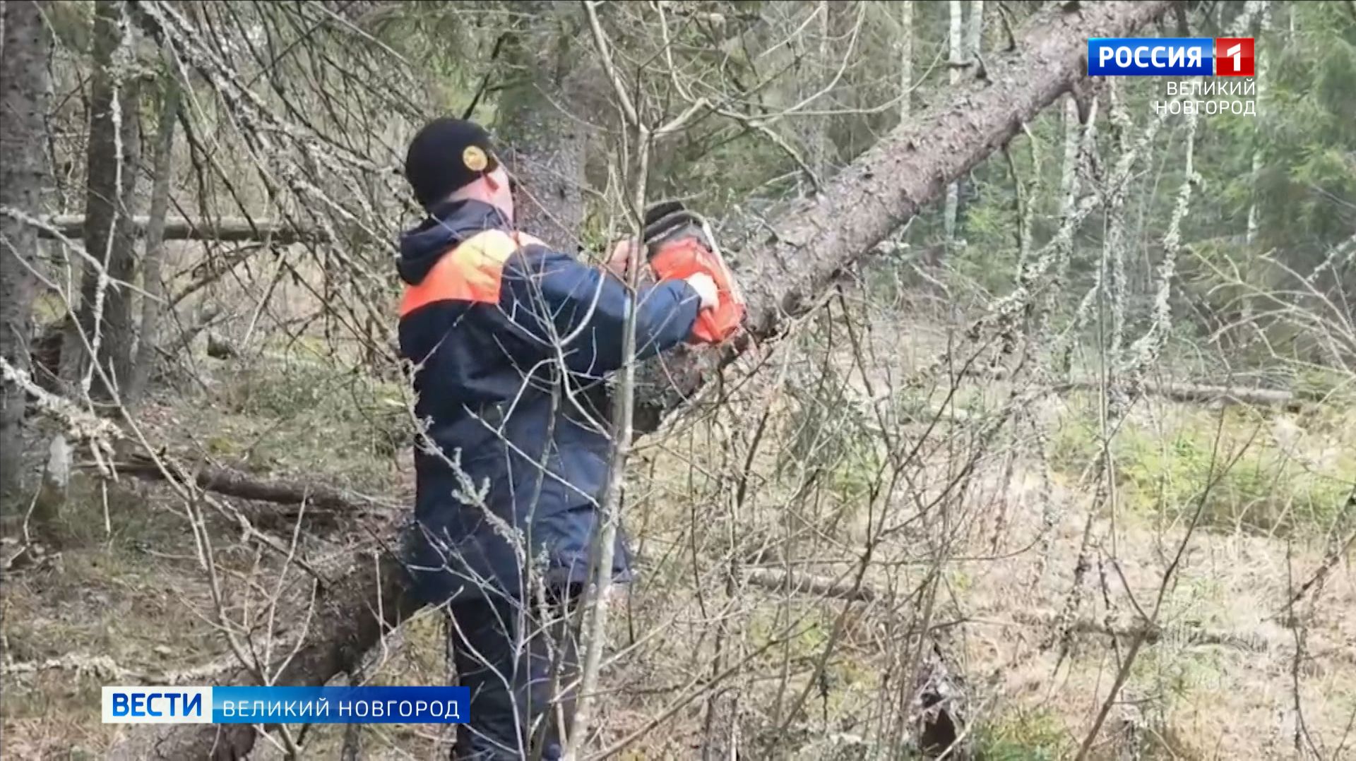 ГТРК СЛАВИЯ Вести Великий Новгород 28.04.26