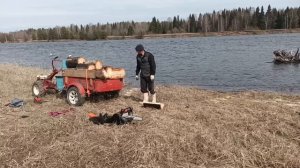 Готовый тяжелый дрова загружаю на мотоблок агро . Половодье прибывает .