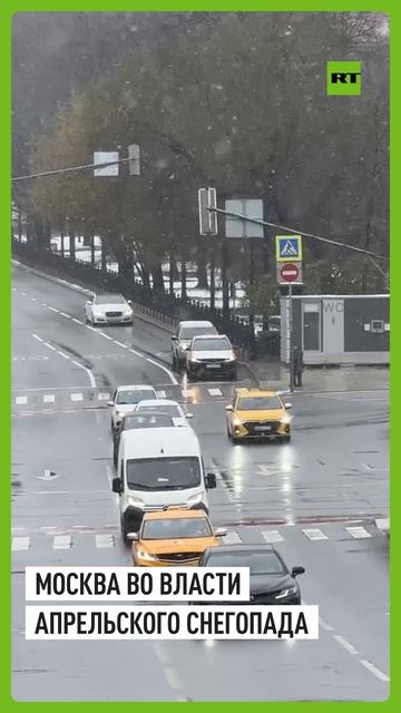 Поваленные деревья и повреждённые автомобили: Москву засыпает снегом