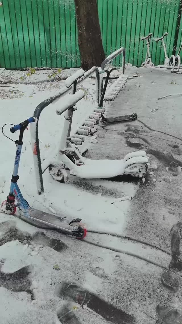 Утреннее настроение 102 / Morning mood 102 🌨️🌨️☀️☀️