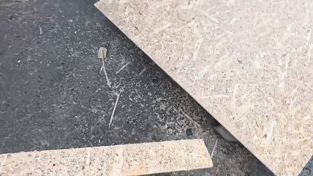 Потолочная жизнь