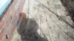 VID_20260428_150807.mp4