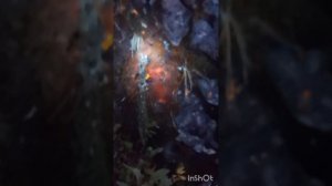 2024 - Кольский Хибины и Ловозеры