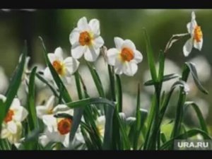 29 апреля - Арина — «урви берега»- Приметы и традиции